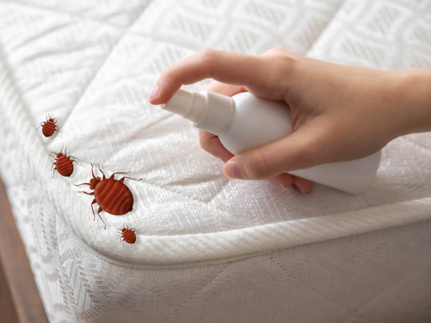 Best Bed Bug Extermination  in Su Oswego, NY